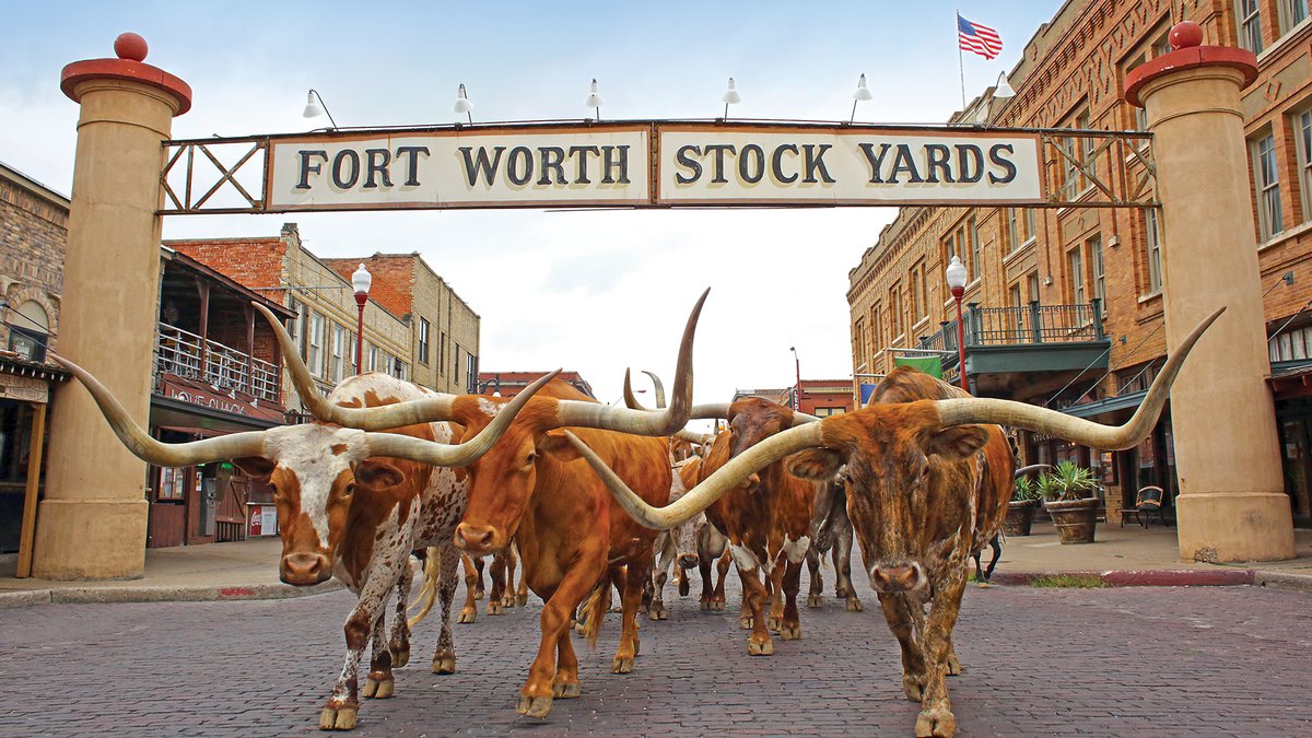 Fort Worth Stockyards at night — a top DFW bachelor and bachelorette party destination served by QTS Black Car and Limo party bus and limo service